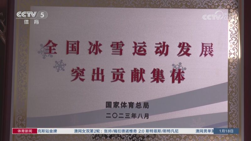 尼斯