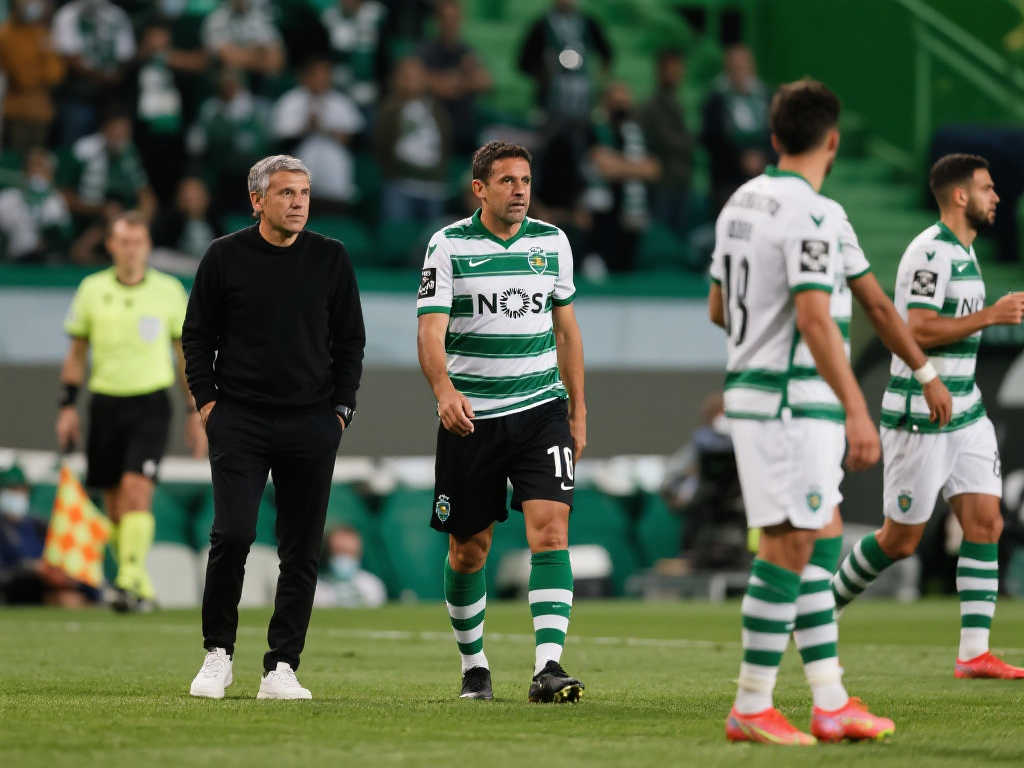 的并不在少 的并不在少