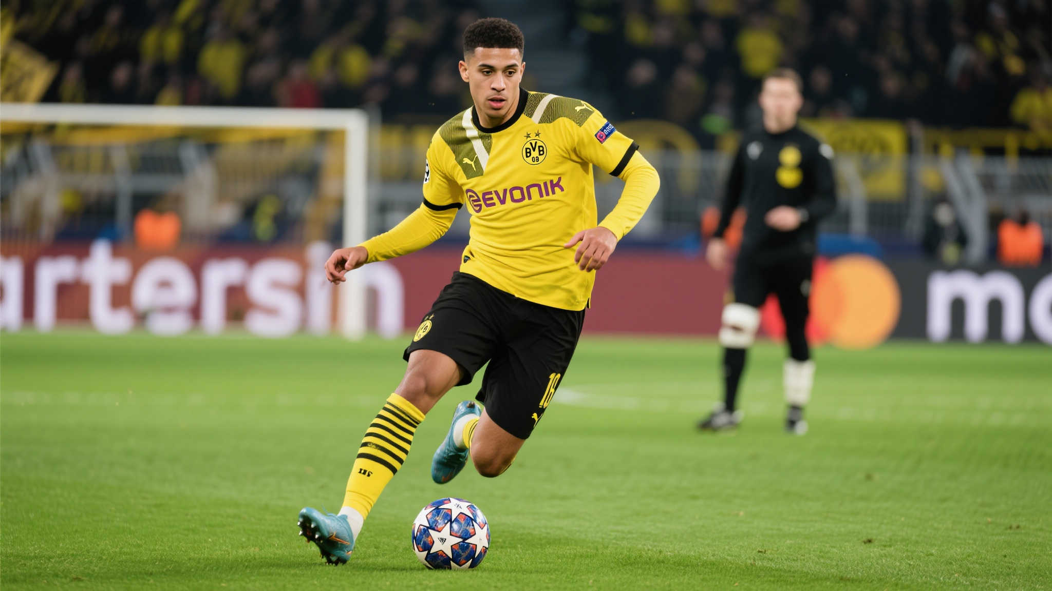 星族谱中不 星族谱中不